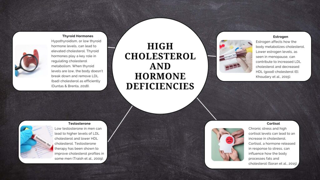 High Cholesterol and Hormone Deficiencies Infographic - 1
